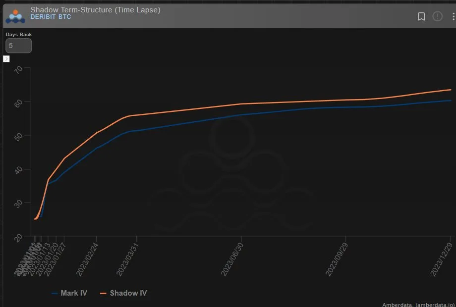 Deribit_Insights - Option Flow: Call Buying Bias - Image (2/4)