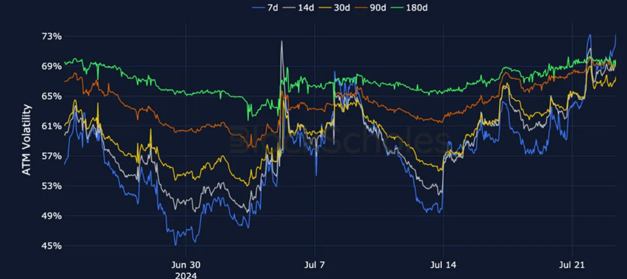 Deribit_Insights - Crypto Derivatives: Analytics Report – Week 30 - Image (14/27)