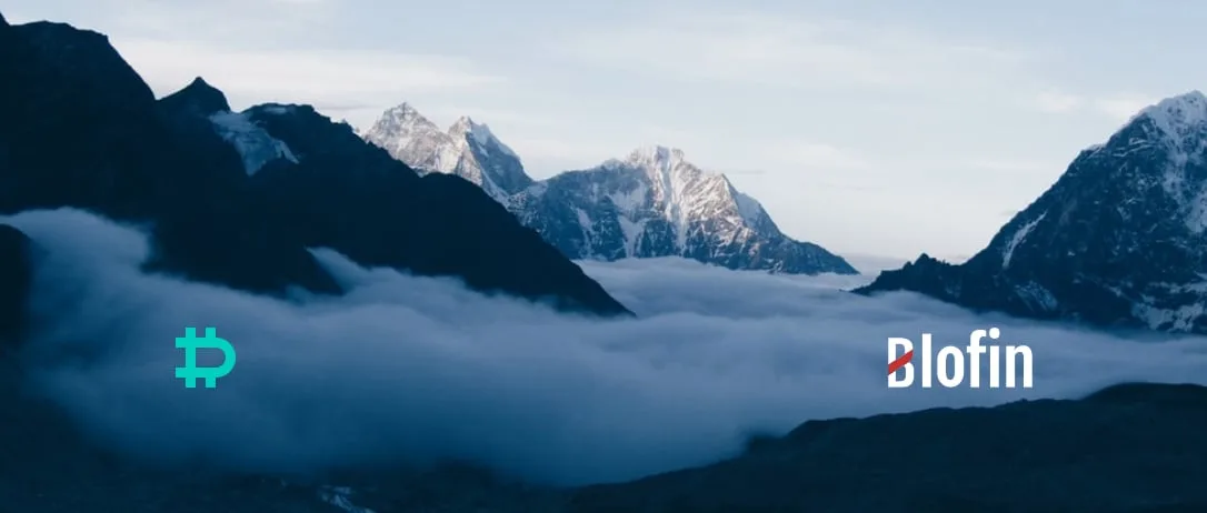 Weekly Market Review From Blofin: Plateau