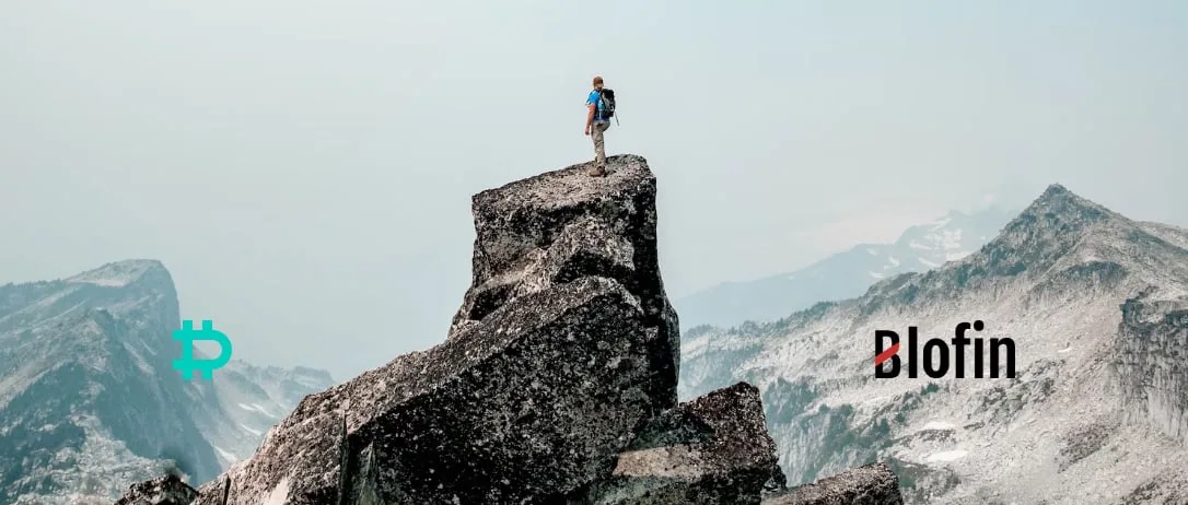 Catastrophe, Survival, and Evolution: Writing After November’s Crypto Markets