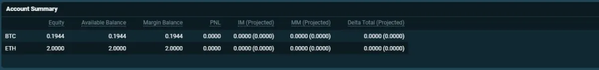 Deribit_Insights - Introducing New User Interface - Image (12/21)