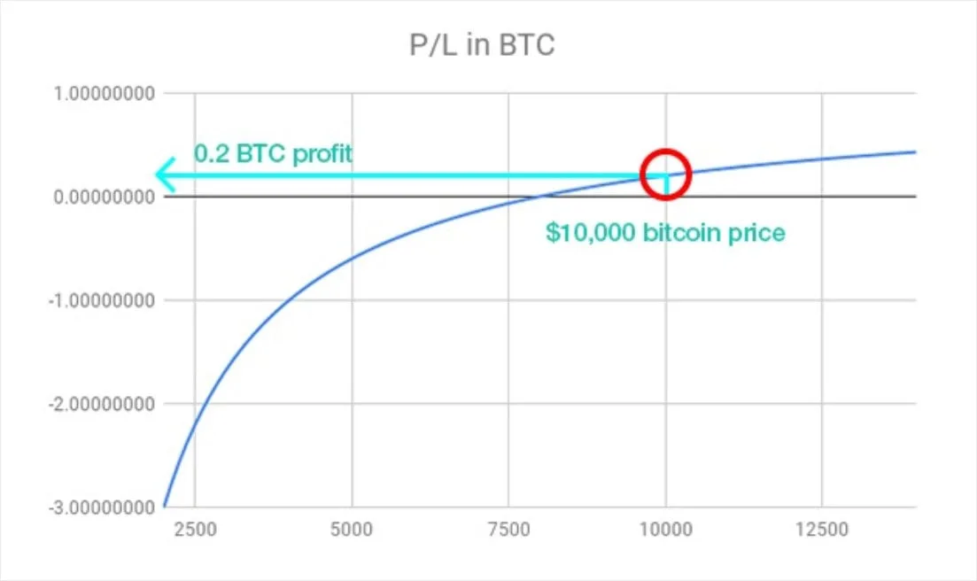Deribit_Insights - Deribit Inverse Contracts – Calculating Profit in BTC and USD - Image (5/12)