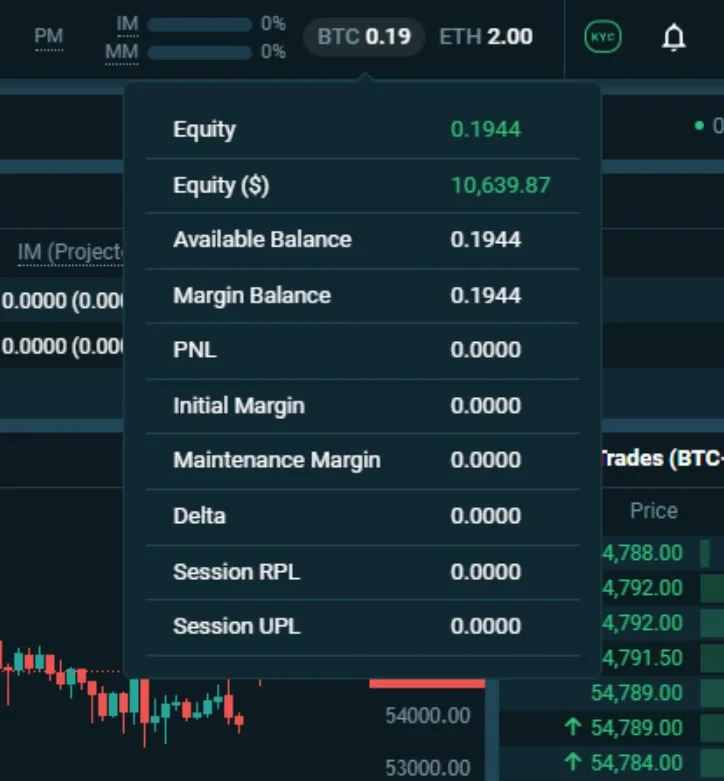 Deribit_Insights - Introducing New User Interface - Image (4/21)