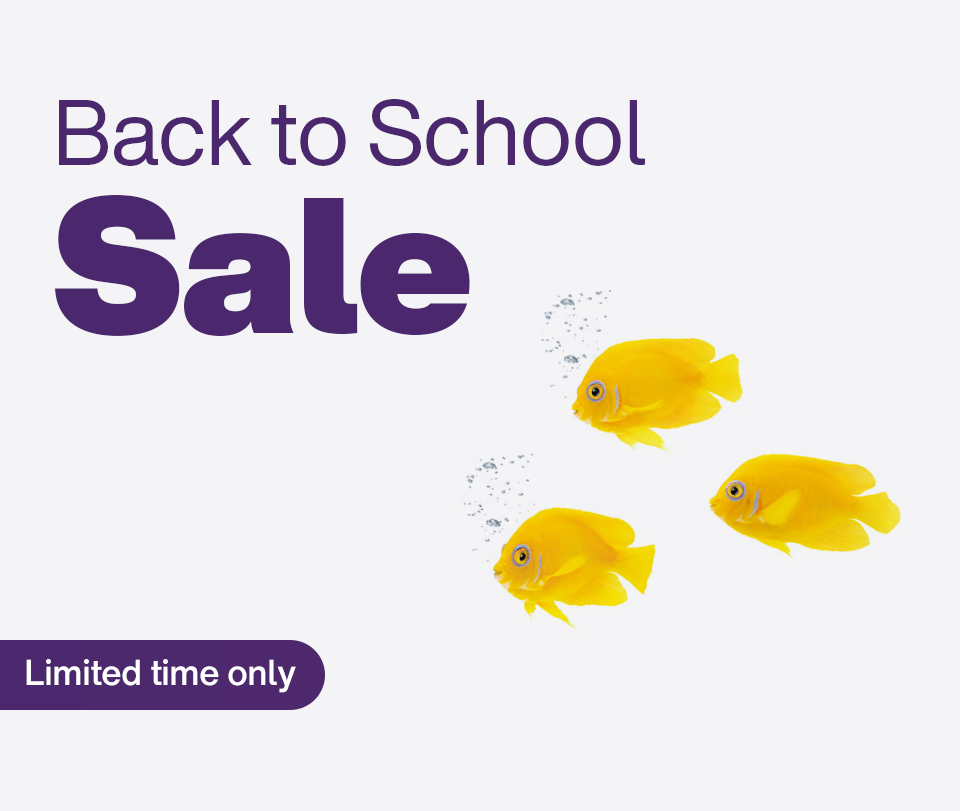 Back to School Sale. Limited time only