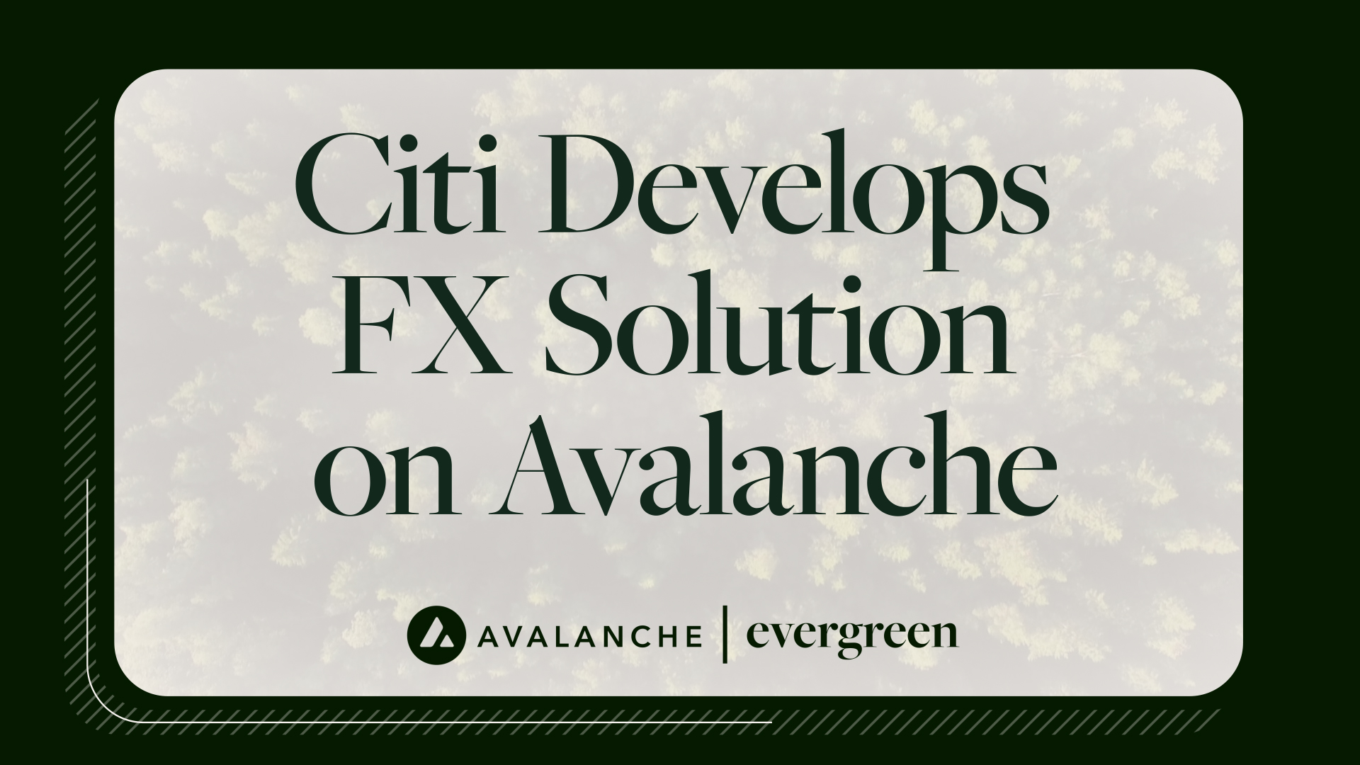 Avalanche Supports Citi FX Solution Under Project Guardian | Avax.network