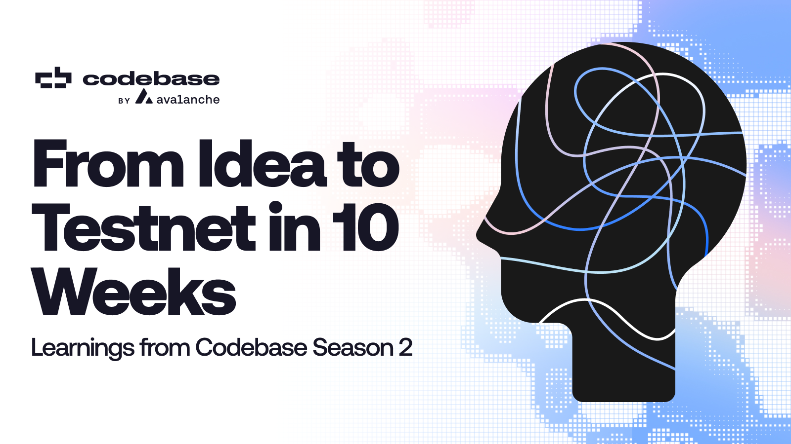 From Idea to Testnet in 10 Weeks: What We Learned from Codebase By ...