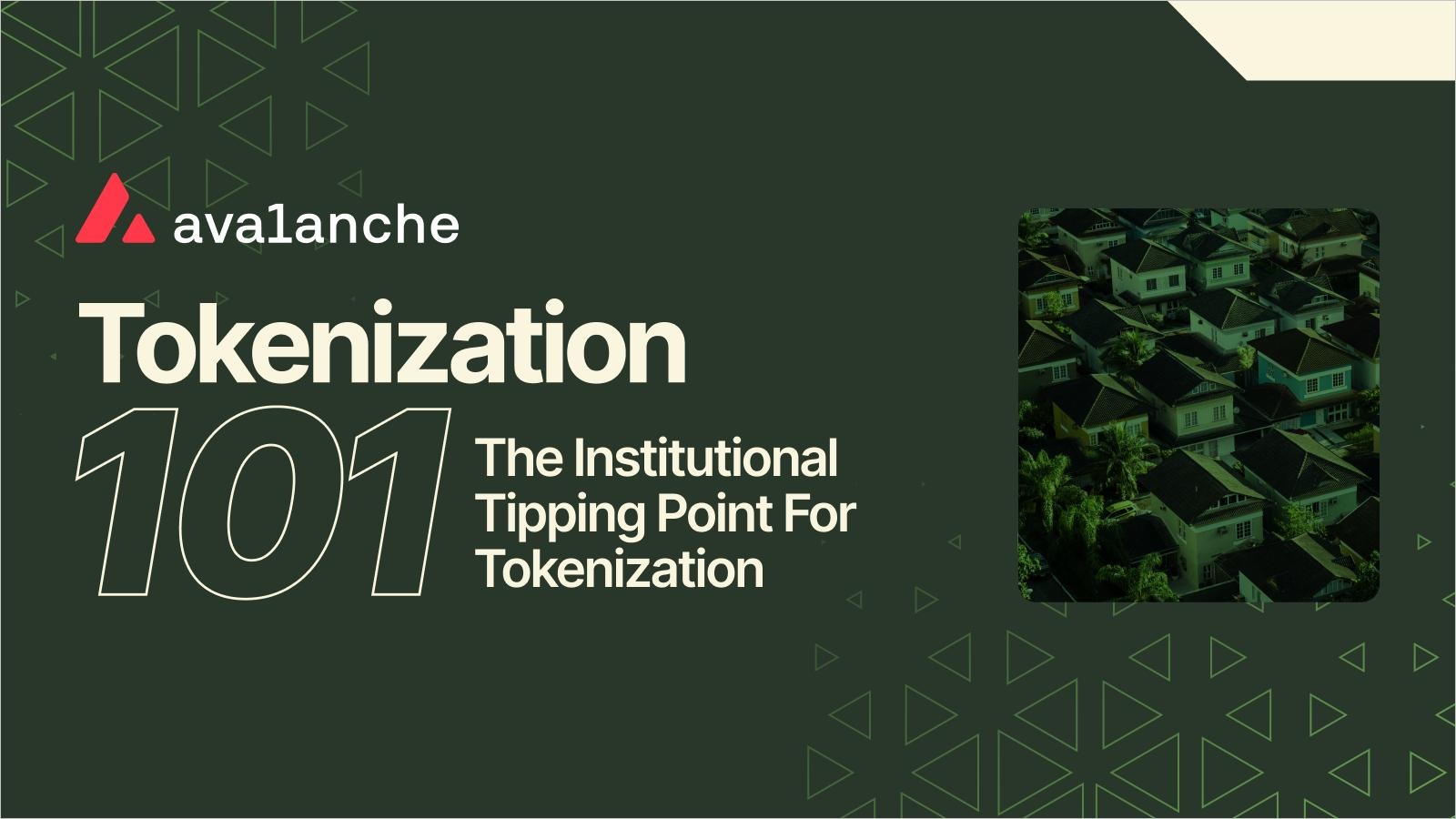 Tokenization 101: The Institutional Tipping Point For Tokenization |  Avax.network