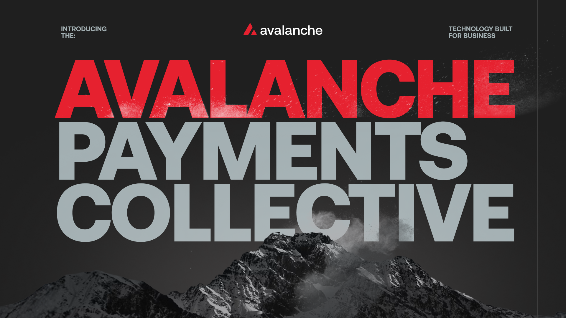 Avalanche Foundation photo