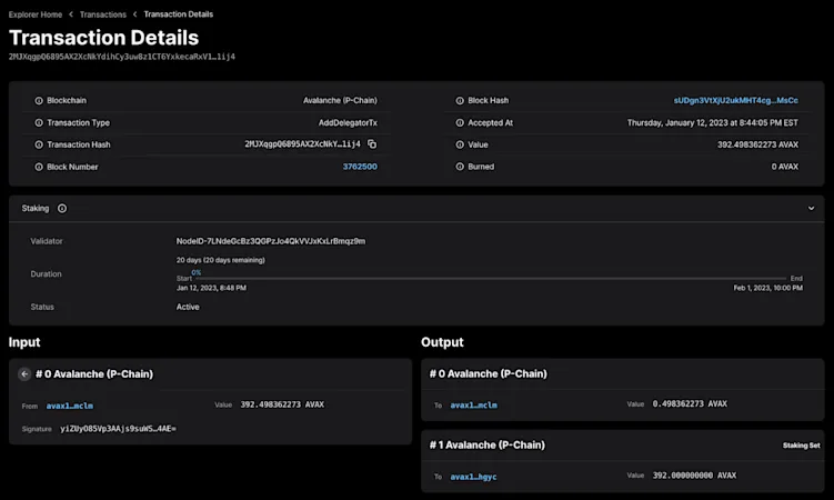 Avalanche Explorer Gets a Brand New Upgrade for All P-Chain Data