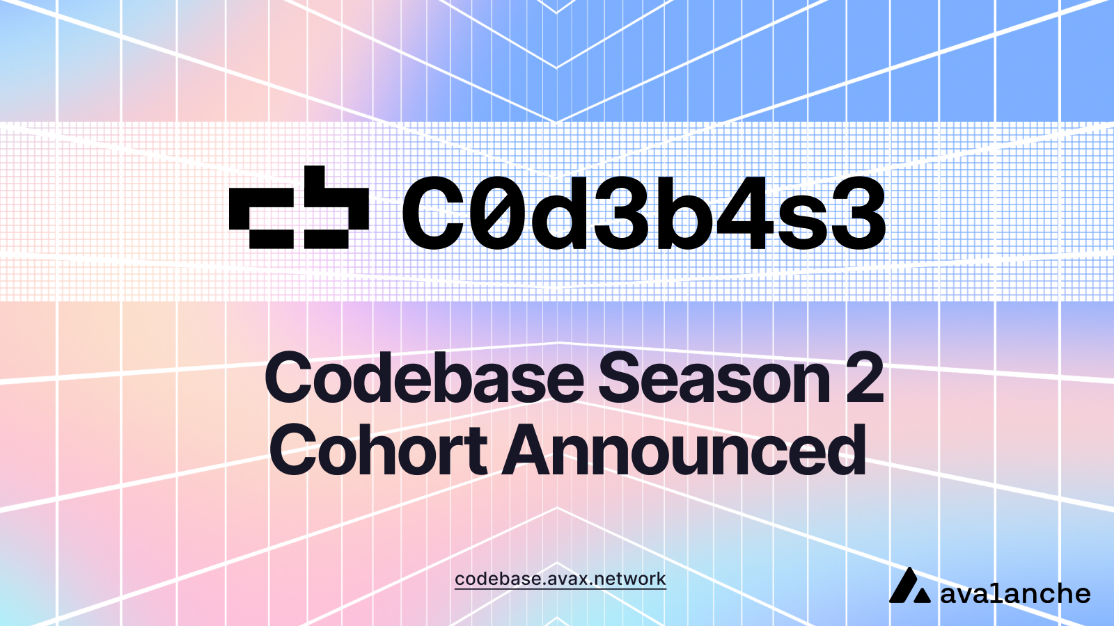 Startup Incubator Codebase Announces Season 2 Cohort | Avax.network