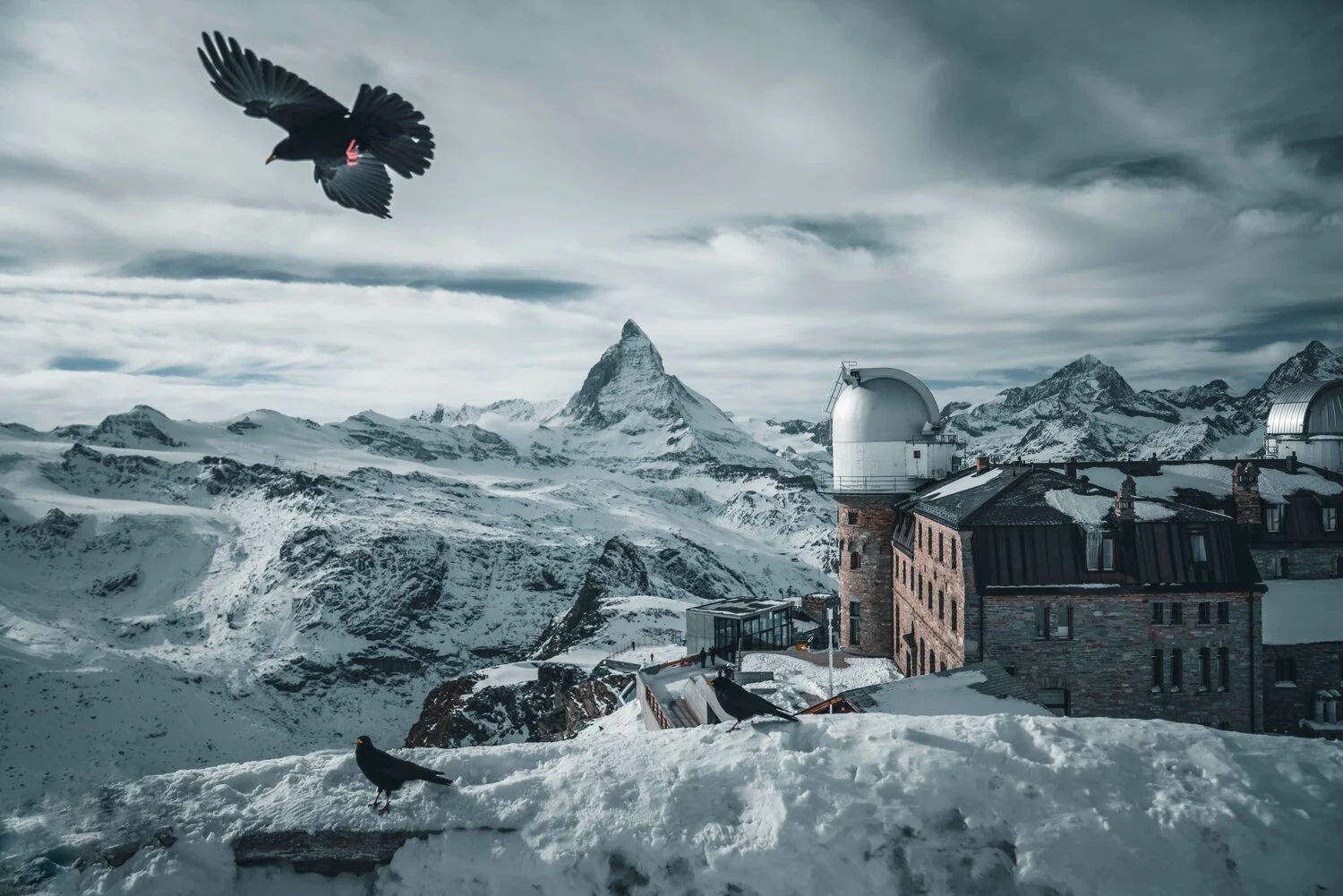 Artist Spotlight: The Next Generation of NFT Photographers
