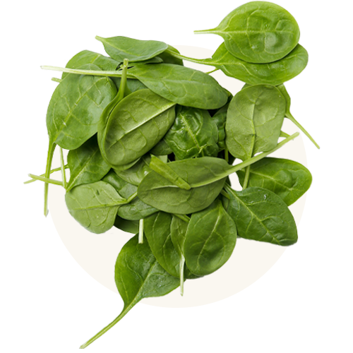 Organic Spinach image