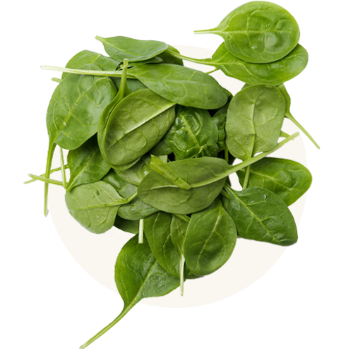 Spinach