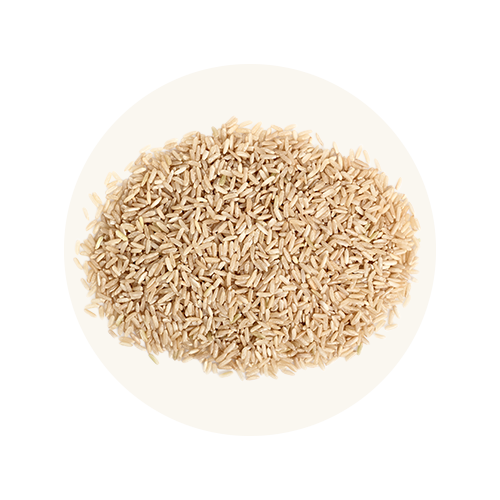 Whole Brown Rice