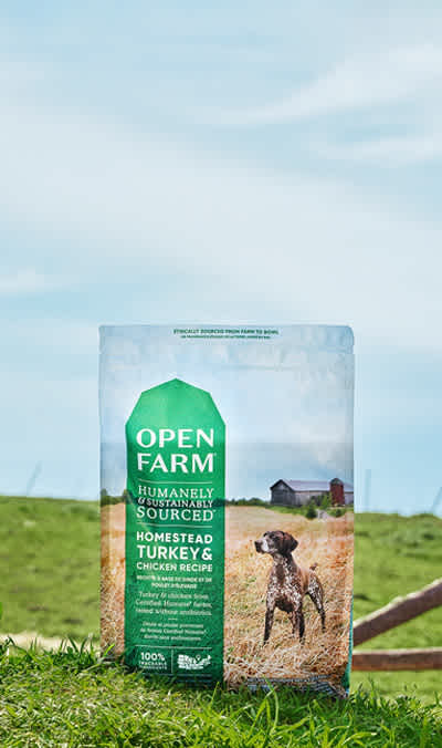 Close up of Homestead Turkey & Chicken Dry Dog Food photographed in lush farm pasture | Mobile