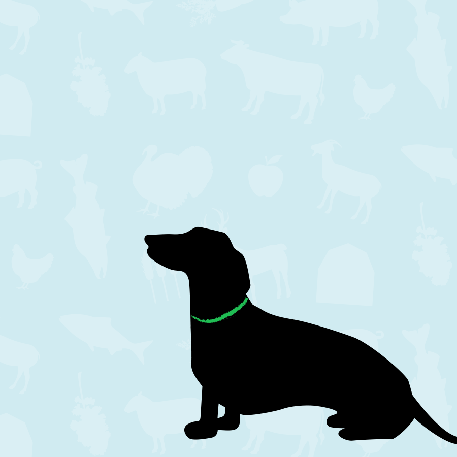 Small Breed Dog Food Food formulated for small breed dogs