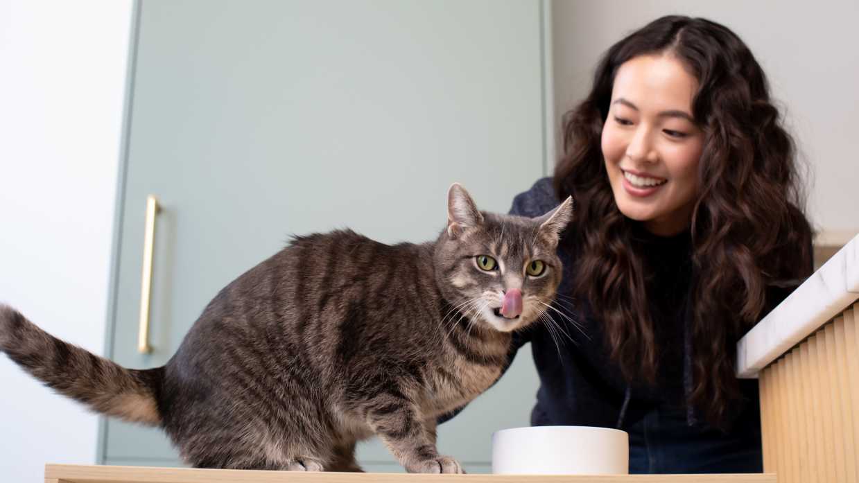 Can Cats Drink Milk? – Understanding Cats’ Digestion
