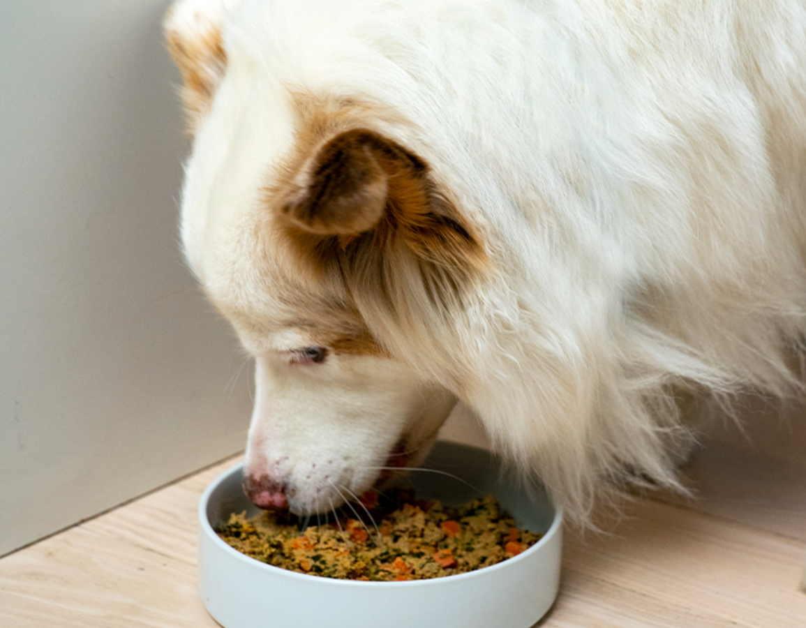 Gently Cooked Dog Food Serving Size Guide