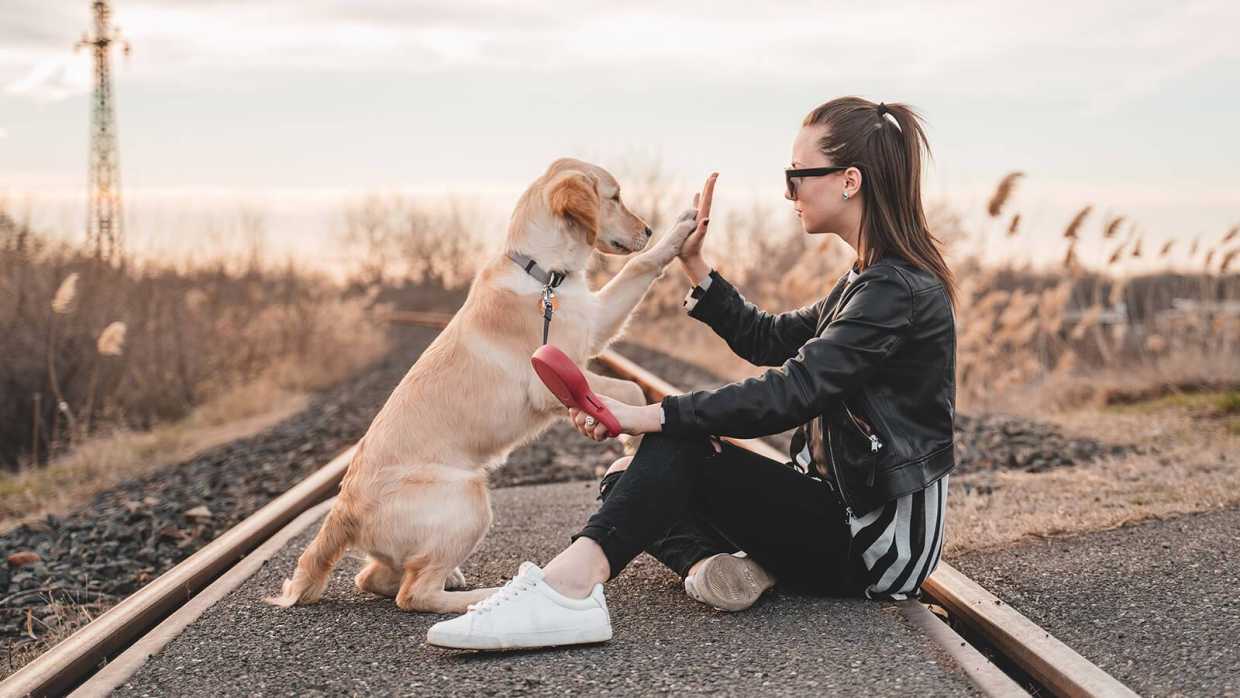 How Rescuing A Dog Became Cool