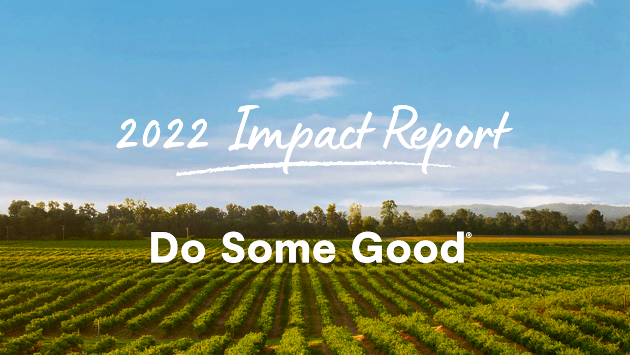 Our 2022 Impact Report