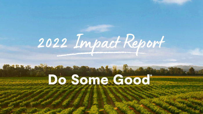 Our 2022 Impact Report | Preview Image