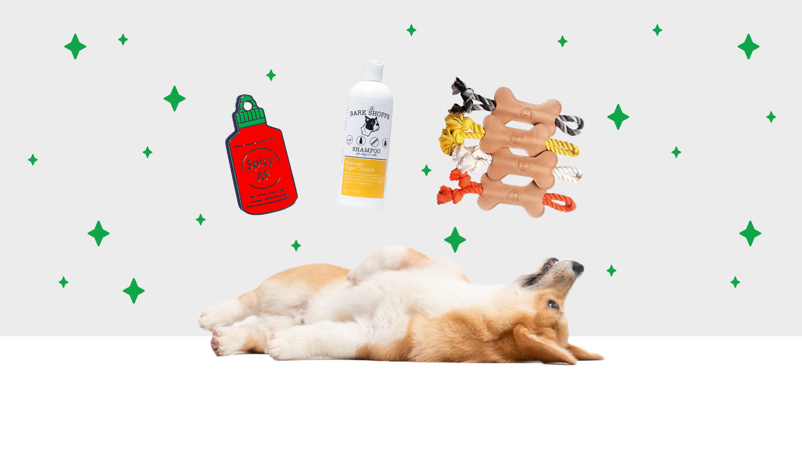 Spotlight Black Owned Pet Businesses Open Farm