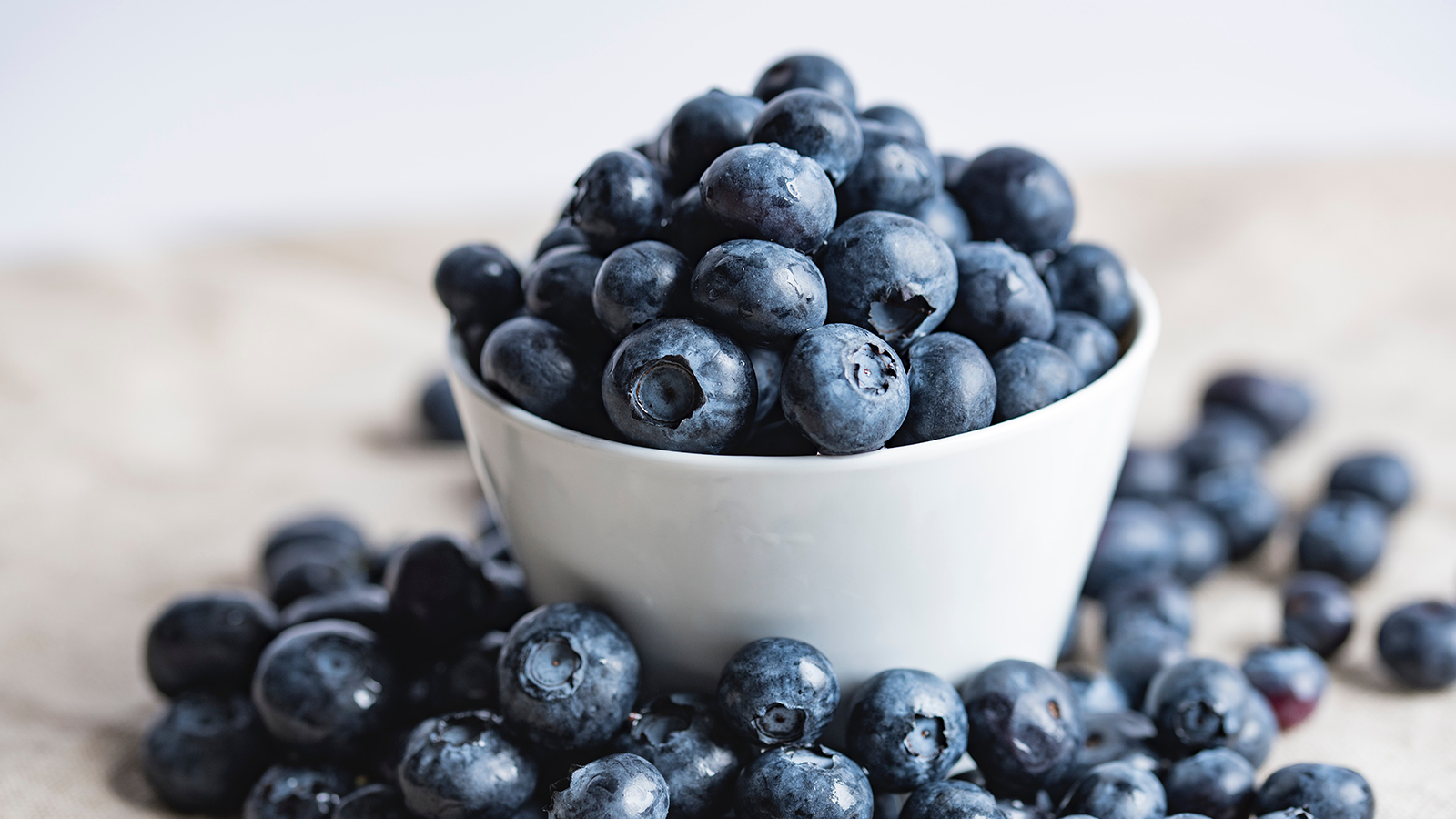 Superfoods for Dogs the Benefits of Blueberries Open Farm