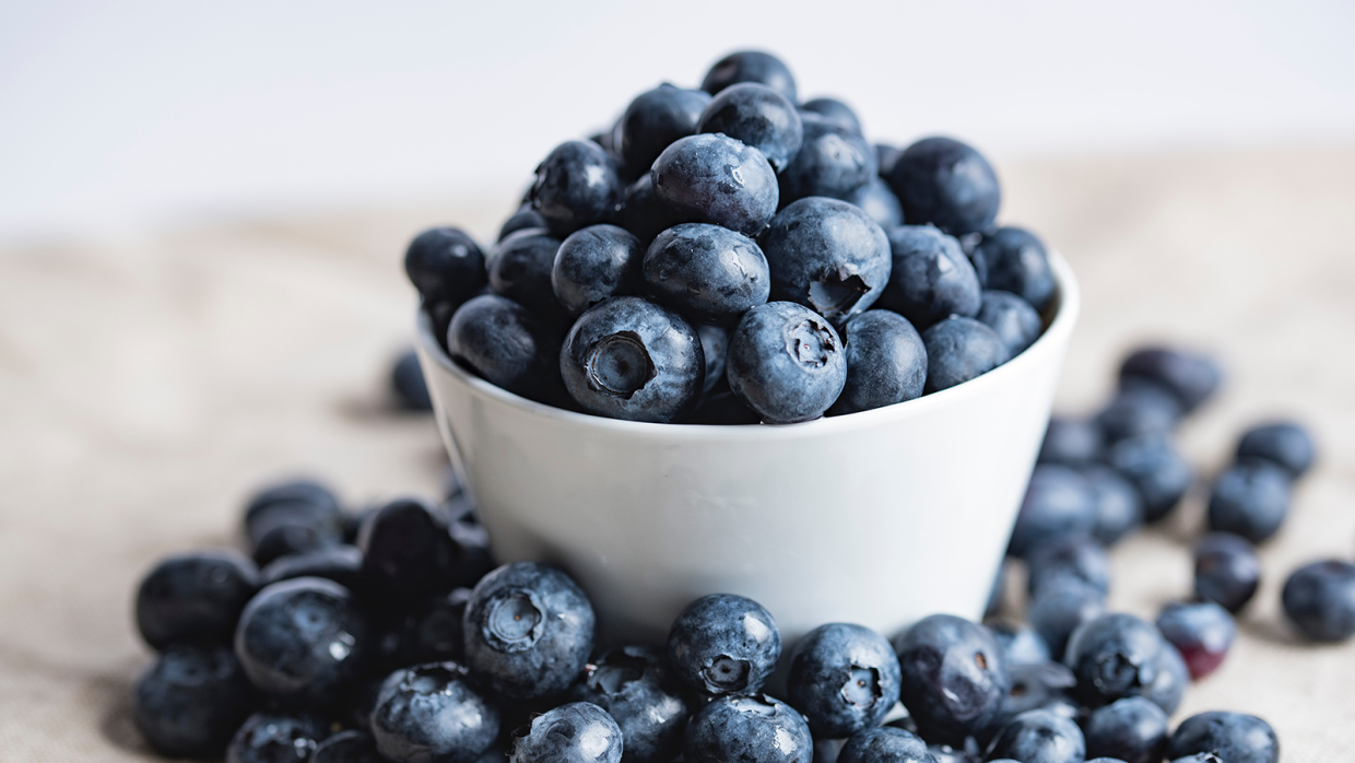 Superfood Spotlight: Why Blueberries Are Great for a Dog’s Diet