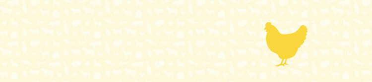 Chicken Cat Food Collection Banner