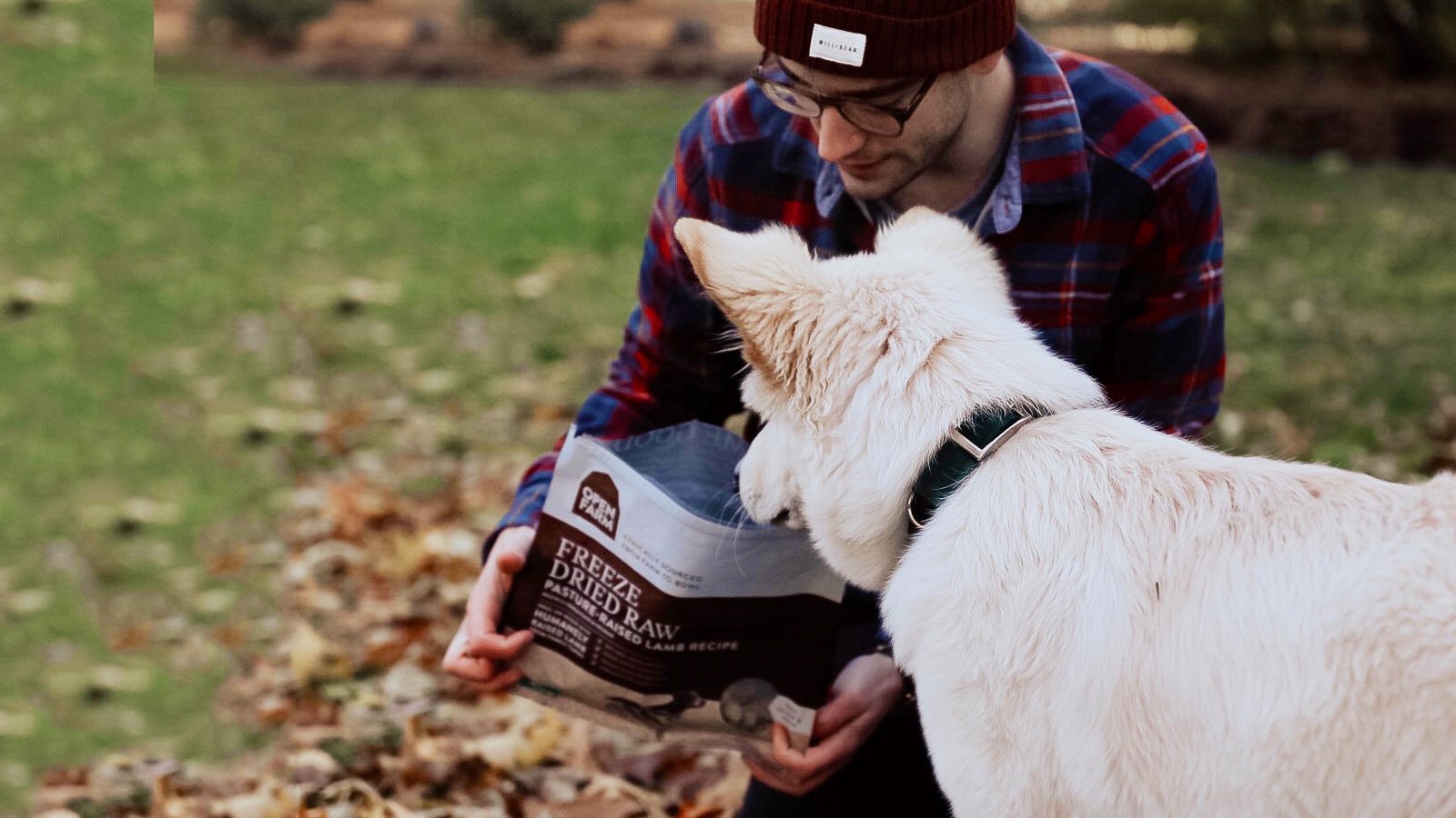 4 Ways To Celebrate National Dog Week Open Farm