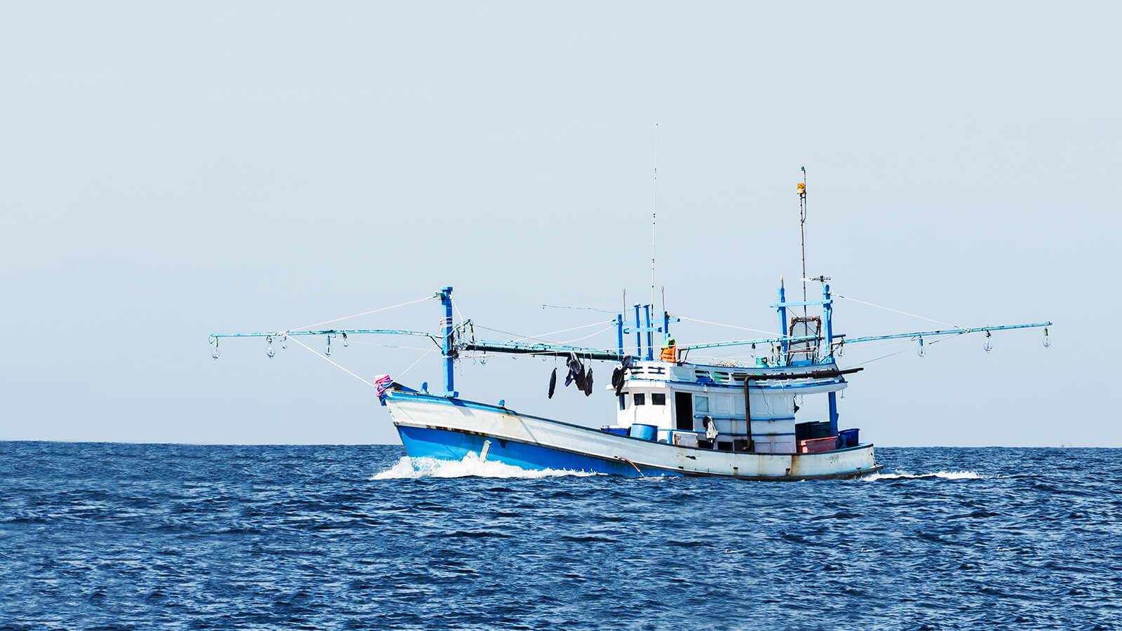 5 Fishing Industry Problems & Solutions | Open Farm