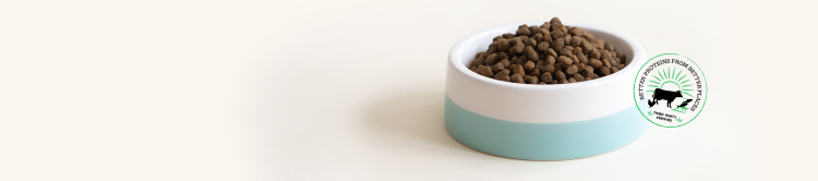 Dry Dog Food Collection Banner