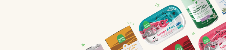 Wet Food for Dogs Collection Banner