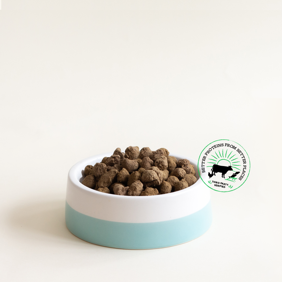Freeze Dried Raw Morsels | Mobile Collection Banner