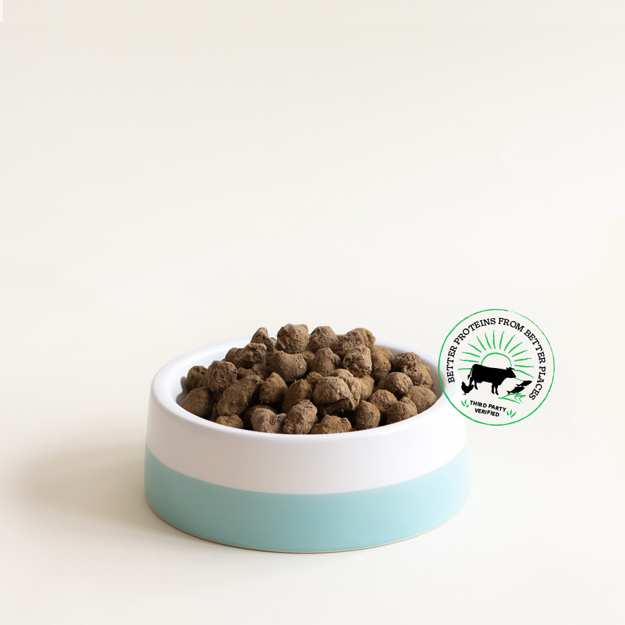 Freeze Dried Raw | Mobile Collection Banner