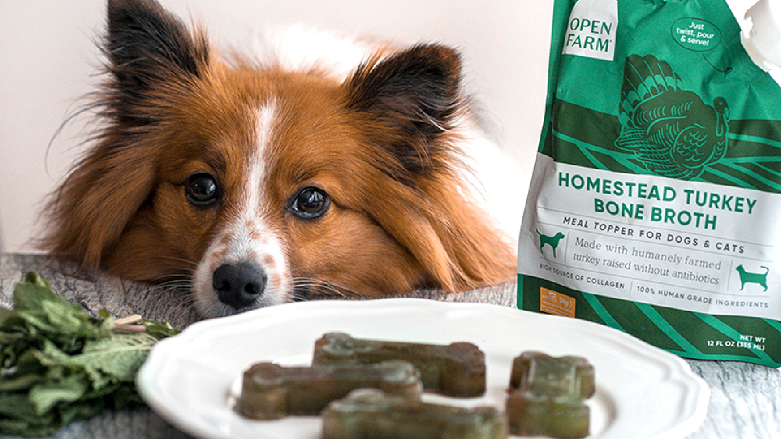 Bone Broth Breath Treats for Dogs Open Farm