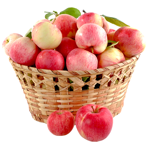 Image de pommes