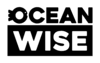 Blue Oceanwise small logo