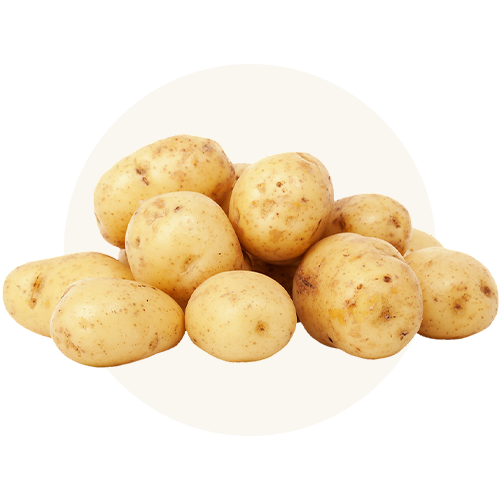 Pommes de terre Russet sans OGM