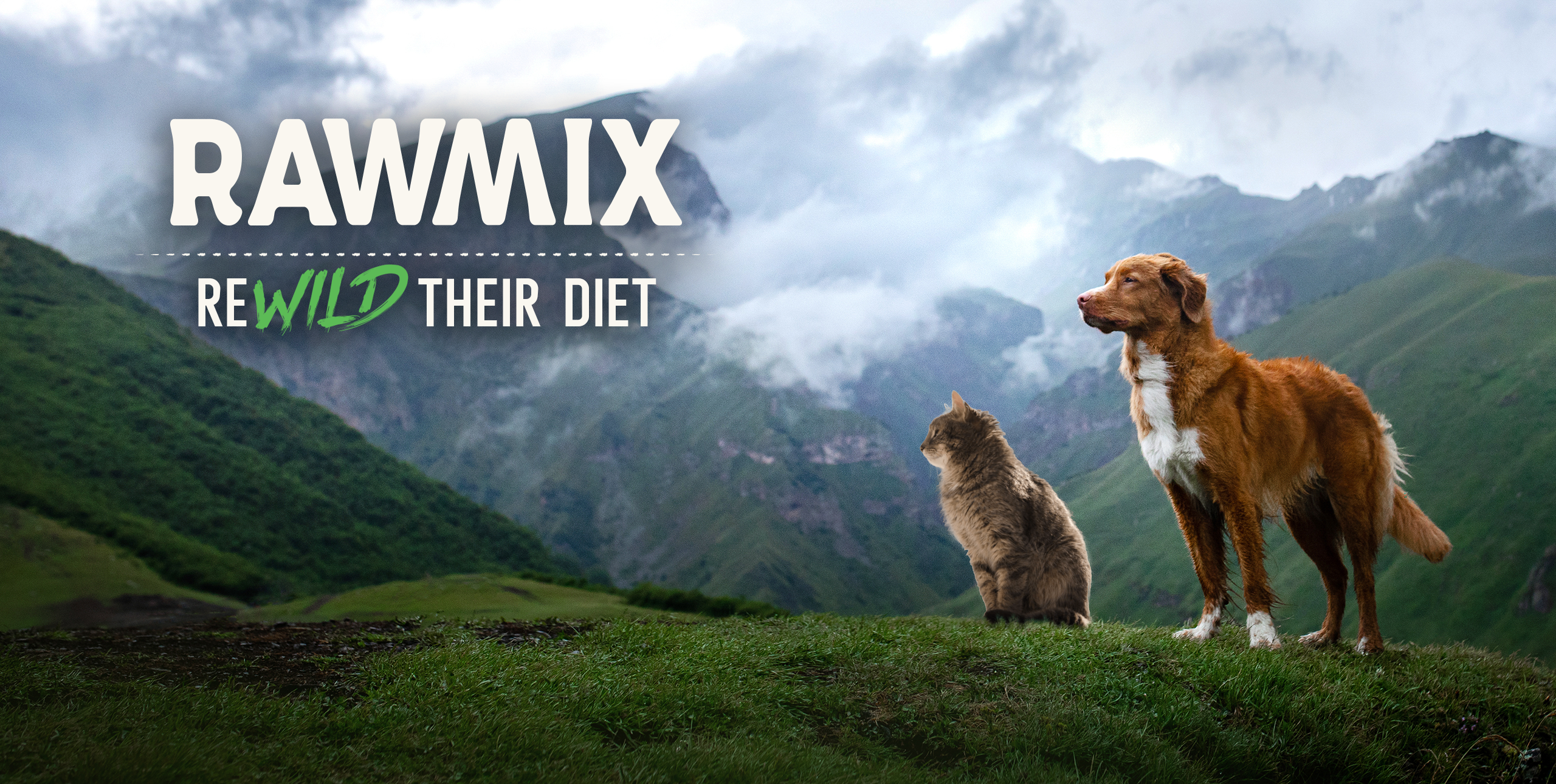 What is RawMix? Raw Coated Kibble Made from Premium Ingredients Open