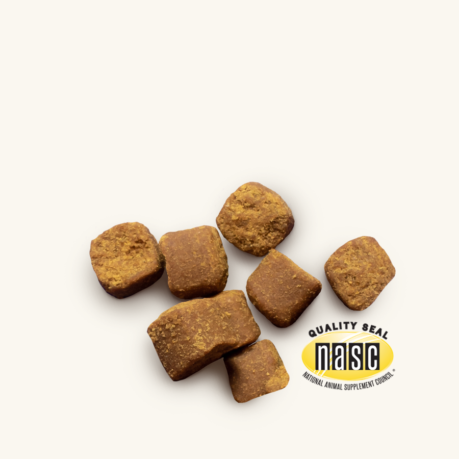 Dog Supplements | Mobile Collection Banner