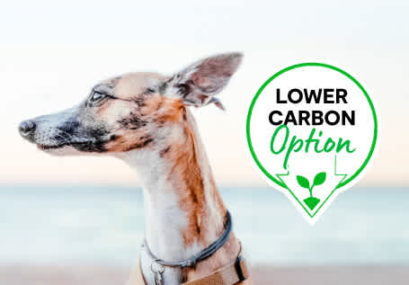 Lower Carbon Options | Mobile Collection Banner