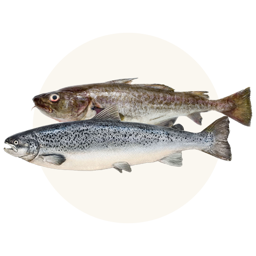 96% Fresh Icelandic Salmon & Cod