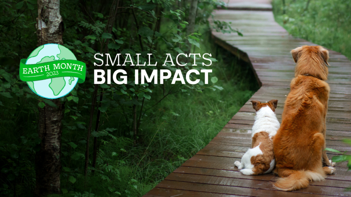 Blog Header - Small Acts Big Impact 