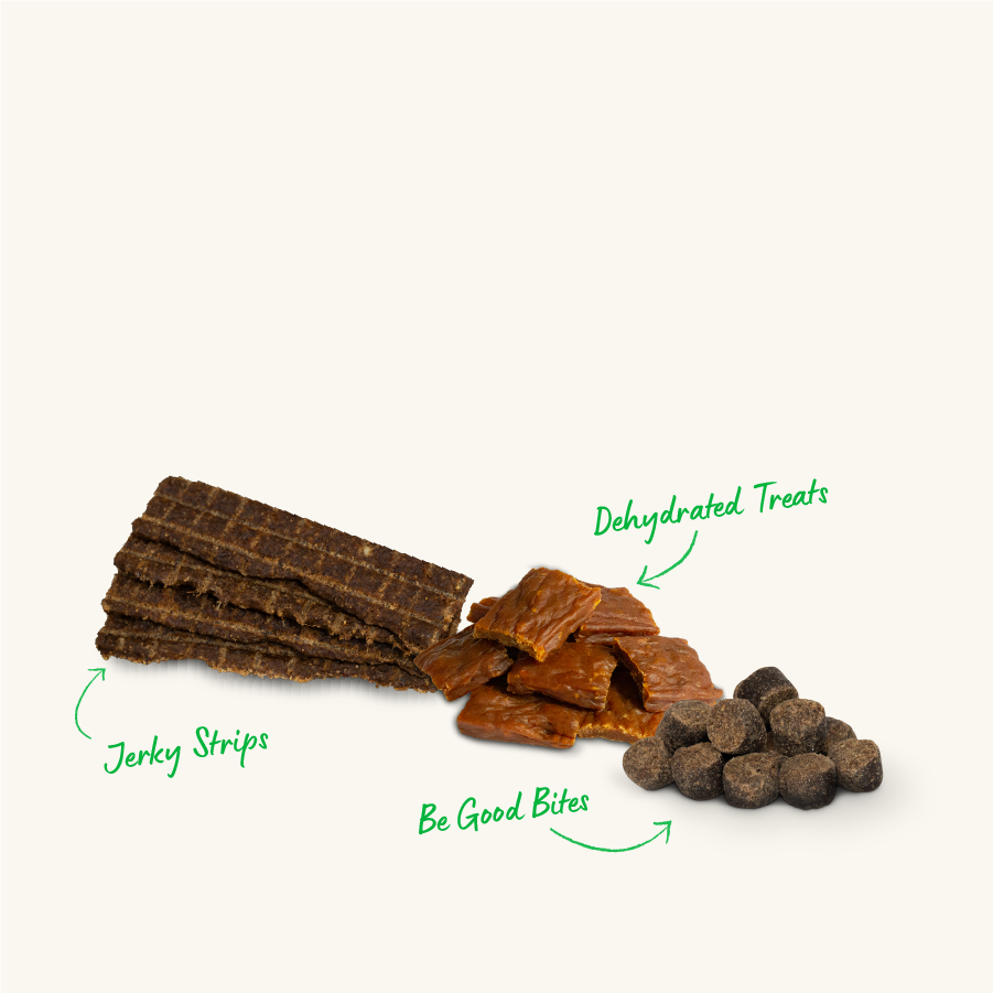 Dog Treats | Mobile Collection Banner