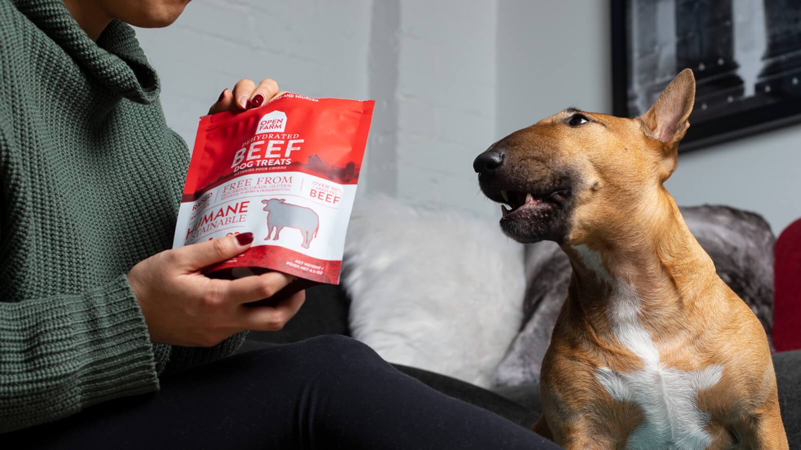 Guide to Healthy Dog Treat Ingredients Open Farm