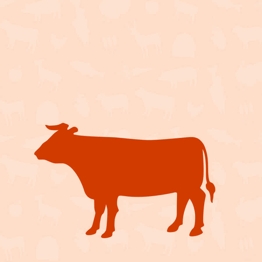 Beef Dog Food | Mobile Collection Banner