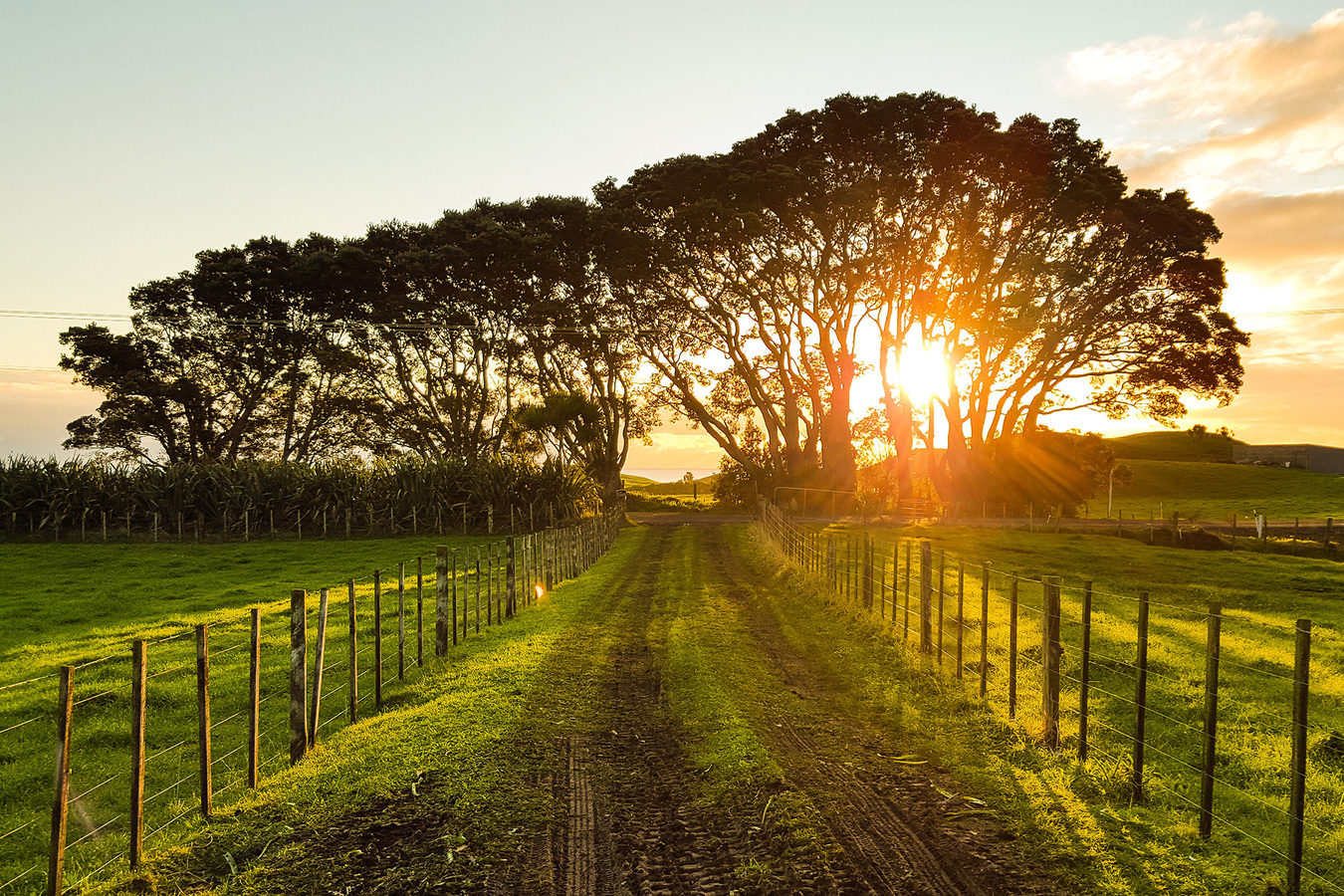 The Open Farm Promise Open Farm