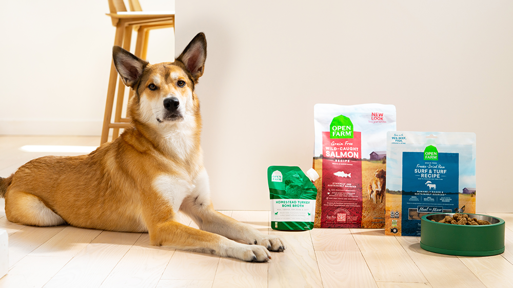 Your Guide to Dog Food Toppers: Benefits, Nutritional Facts and More