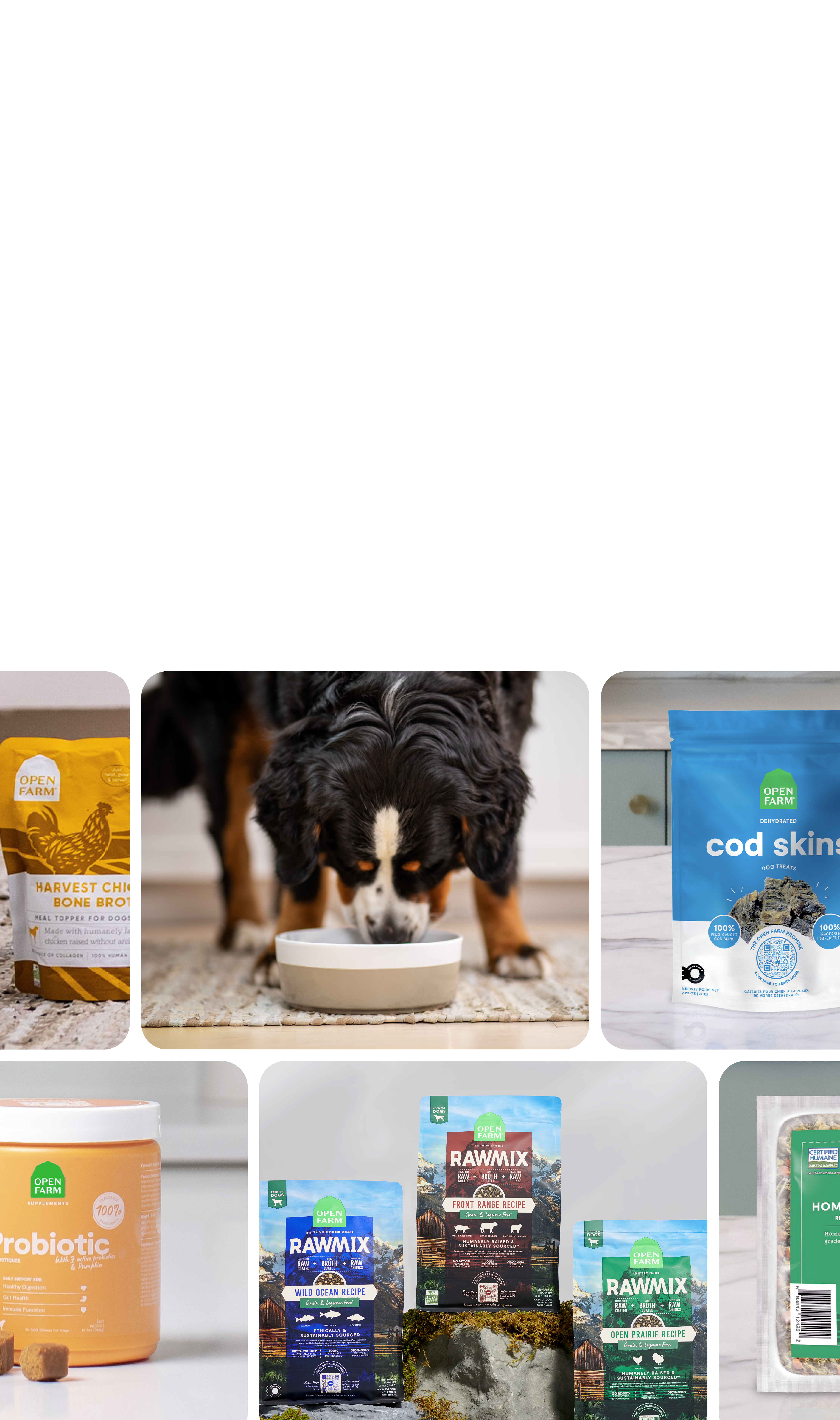 How To Start A Raw Dog Food Business